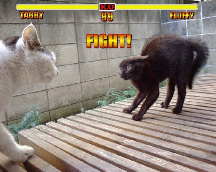 Obrázek fight