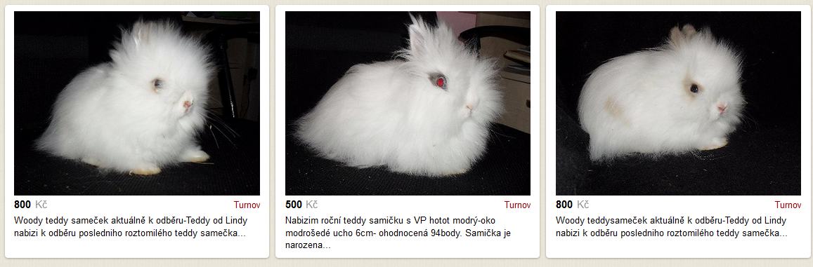 Obrázek find&nbsp;the&nbsp;evil&nbsp;one