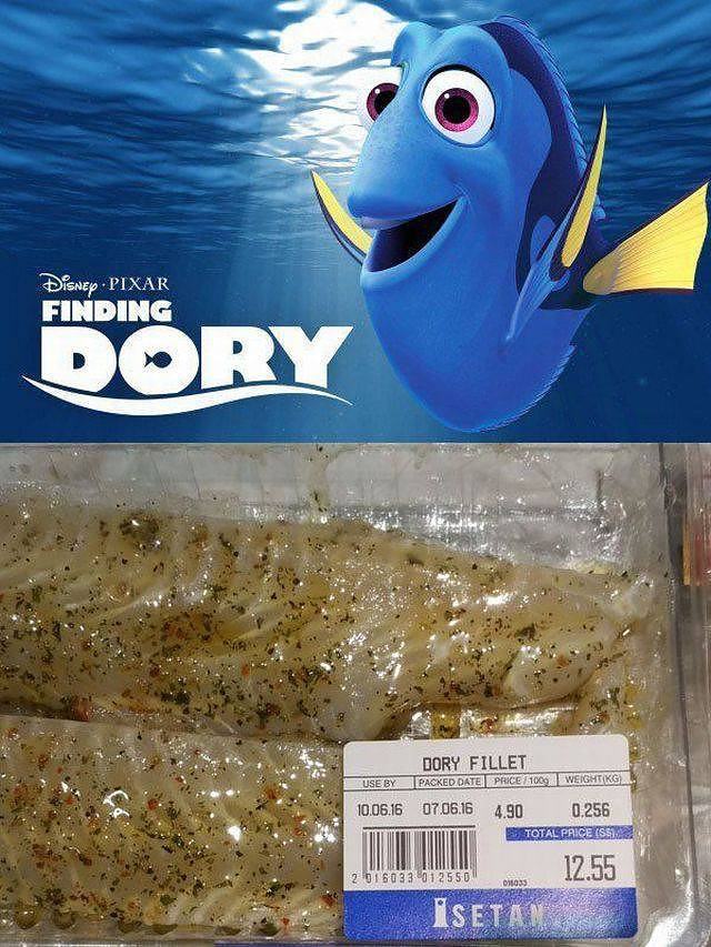Obrázek finding dory   