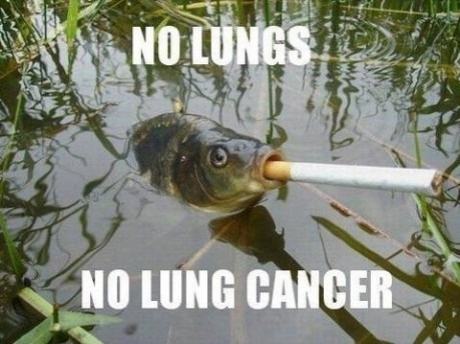 Obrázek fish-cigarette