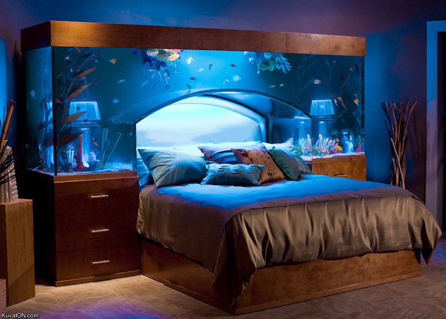 Obrázek fish tank bedroom