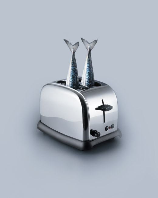 Obrázek fish toaster