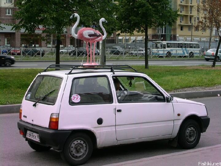 Obrázek flamingo