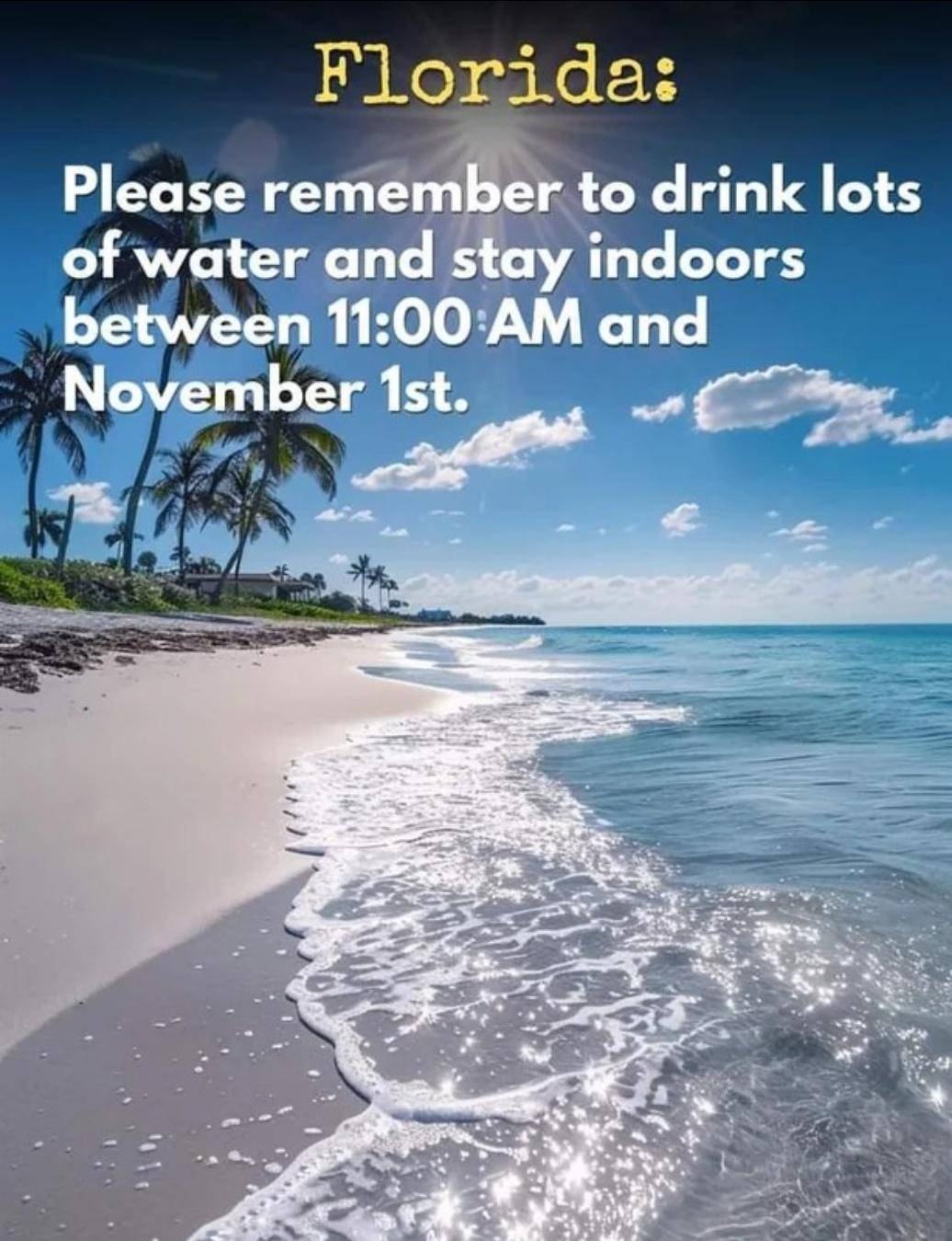 Obrázek florida advice