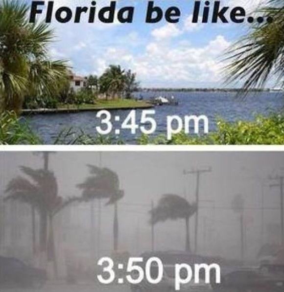 Obrázek florida be like