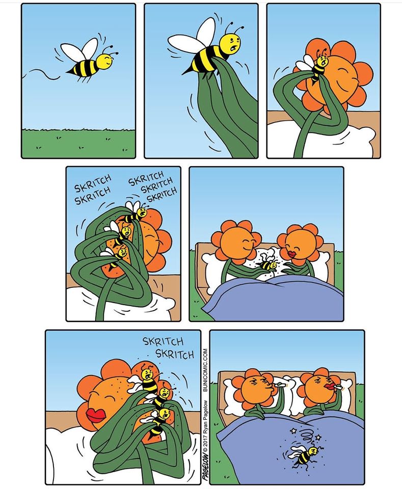 Obrázek flower sex