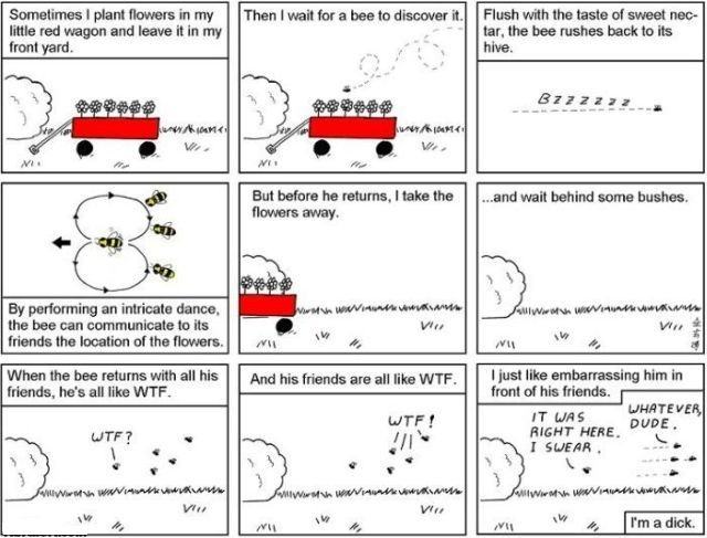 Obrázek flower wagon bee comic