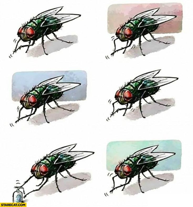 Obrázek fly-using-hand-sanitizer-soap-to-clean-hands