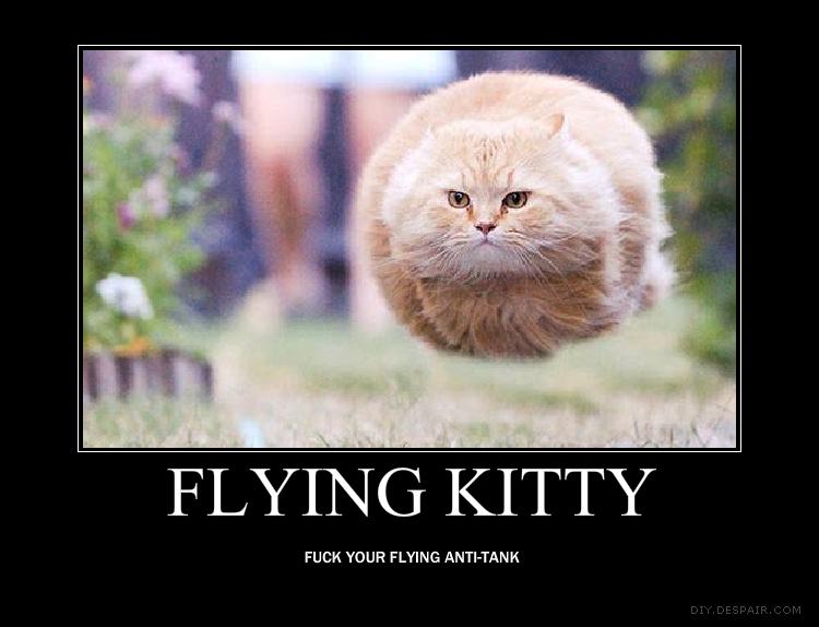 Obrázek flying kitty