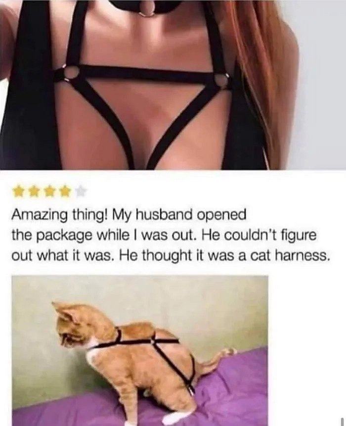Obrázek for cat