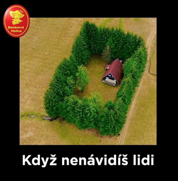 Obrázek forever alone forever