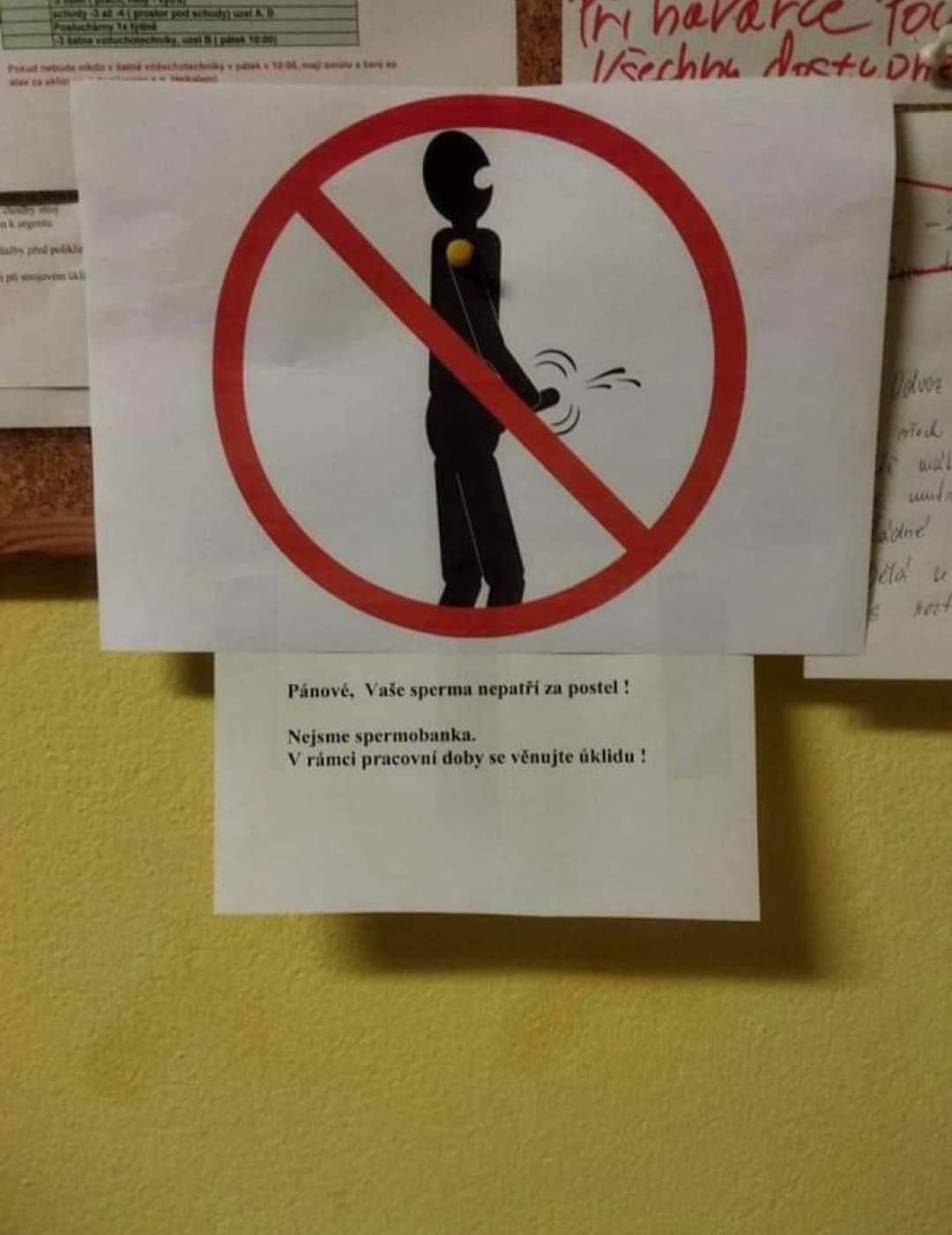 Obrázek fotka z nemocnice