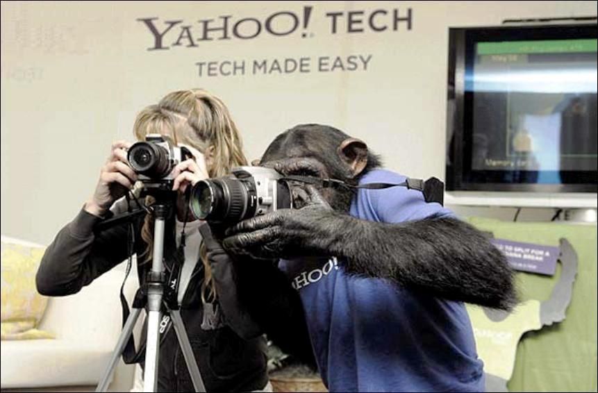 Obrázek fotografove