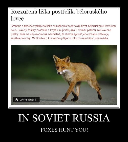 Obrázek fox hunter