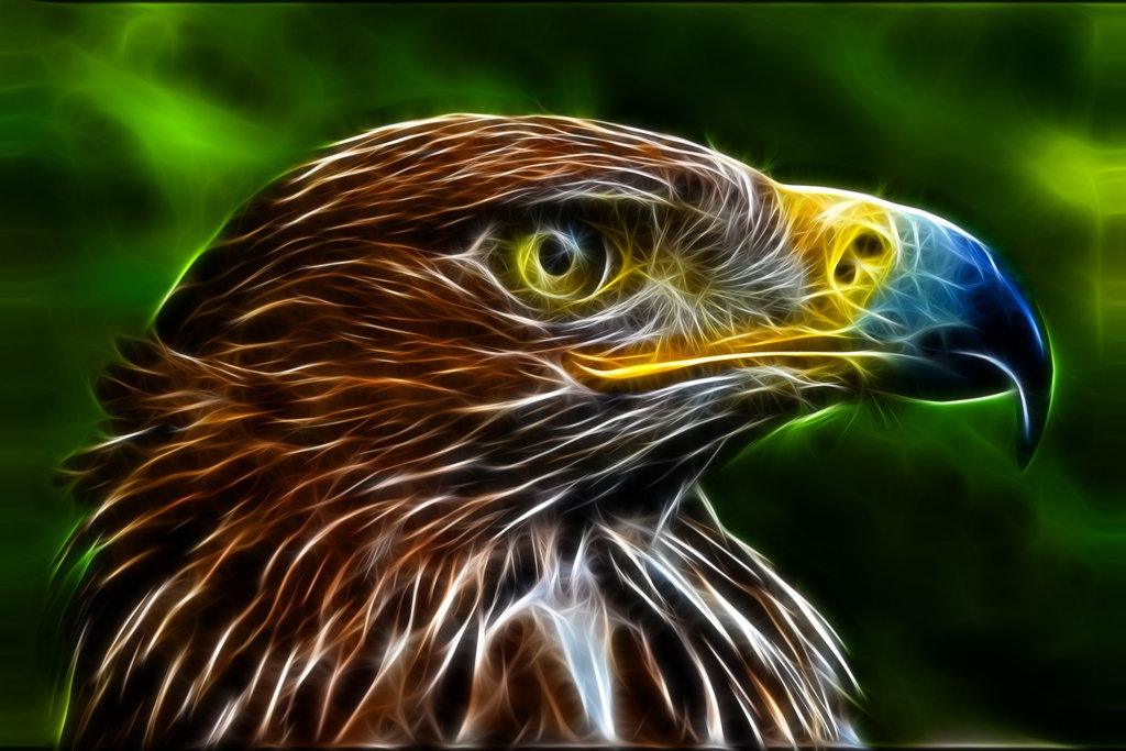 Obrázek fractal-eagle-artofpain