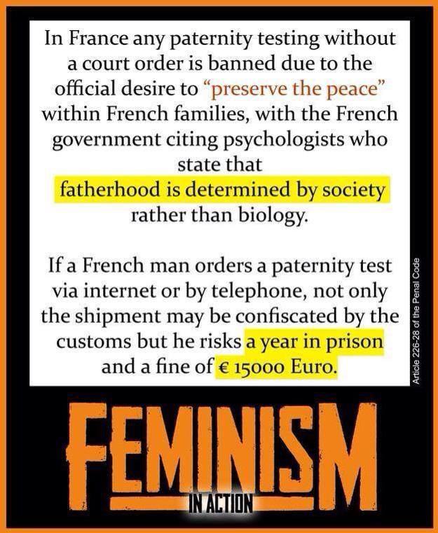 Obrázek france laws