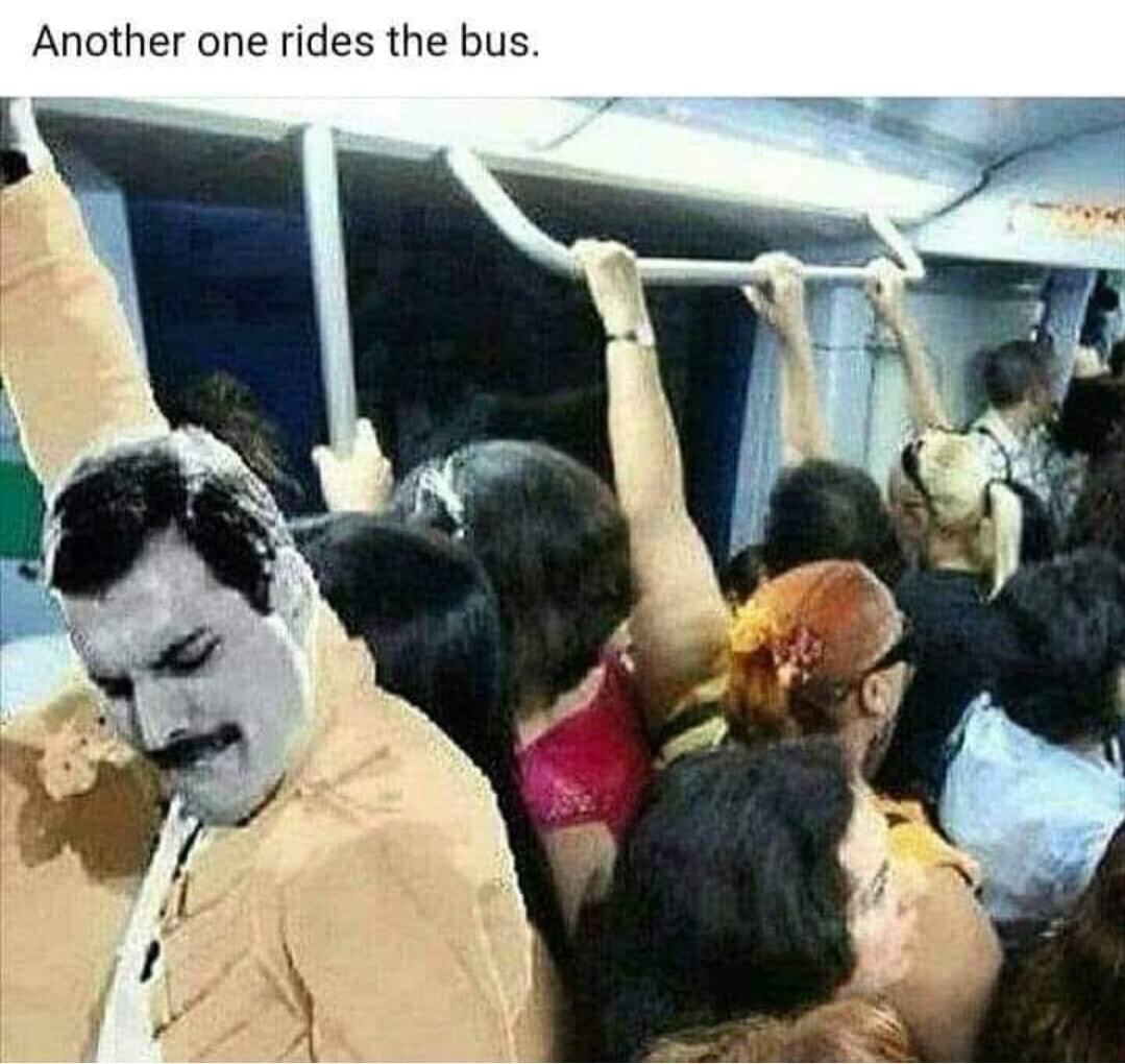 Obrázek freddie-bus