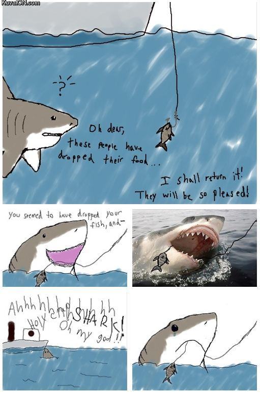 Obrázek friendly shark