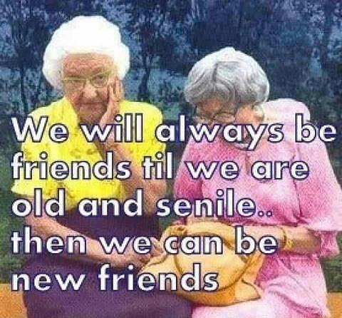 Obrázek friends forever    