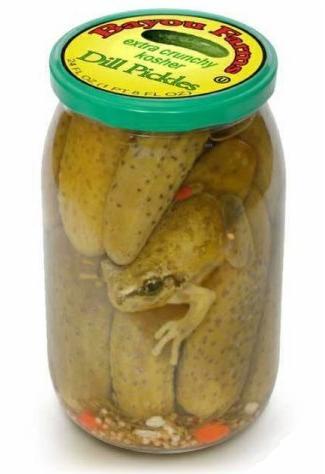 Obrázek frog