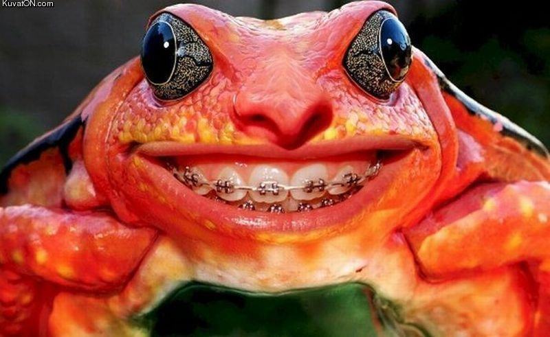 Obrázek frog smile