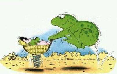 Obrázek frogbaby