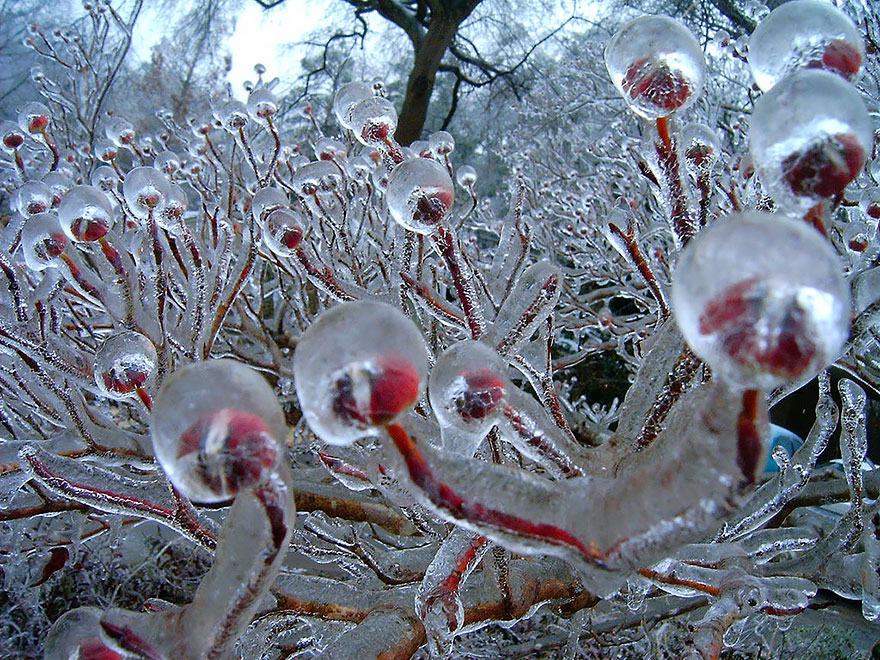 Obrázek frozen-ice-art-2  880