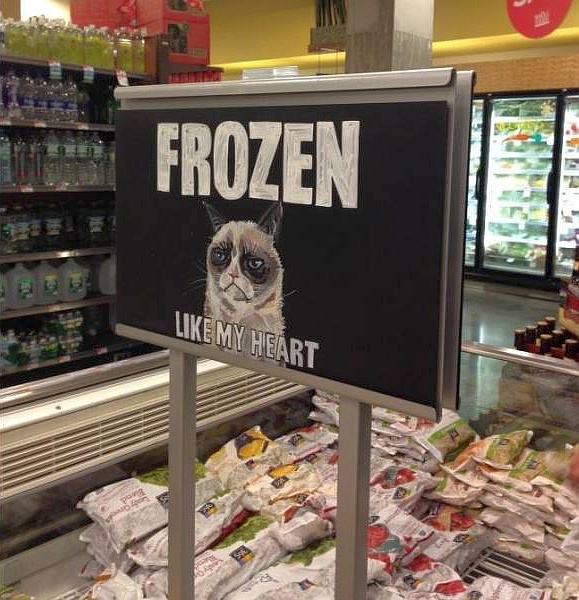 Obrázek frozen food
