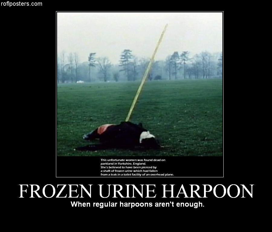 Obrázek frozen urine harpoon