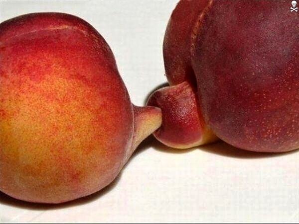 Obrázek fruit anal