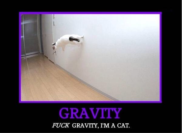 Obrázek fuck gravity
