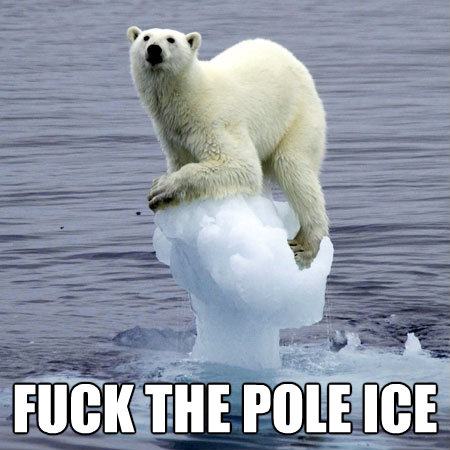 Obrázek fuck the pole ice