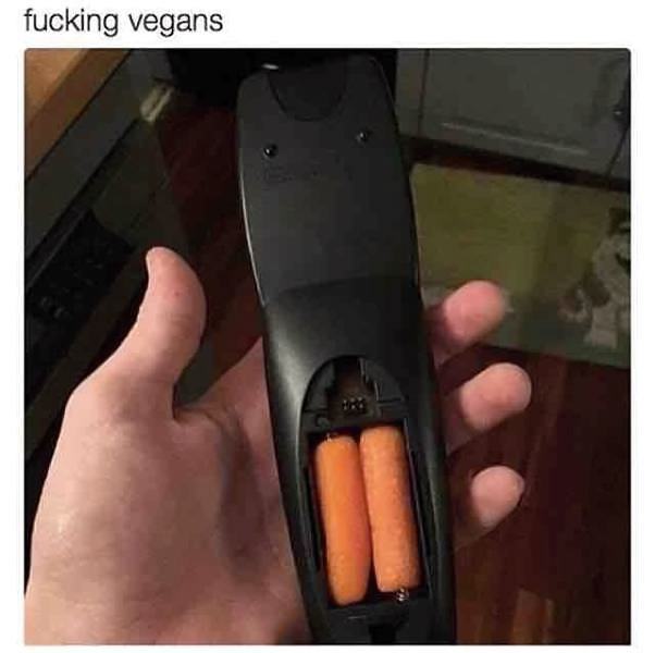 Obrázek fucking-vegans   