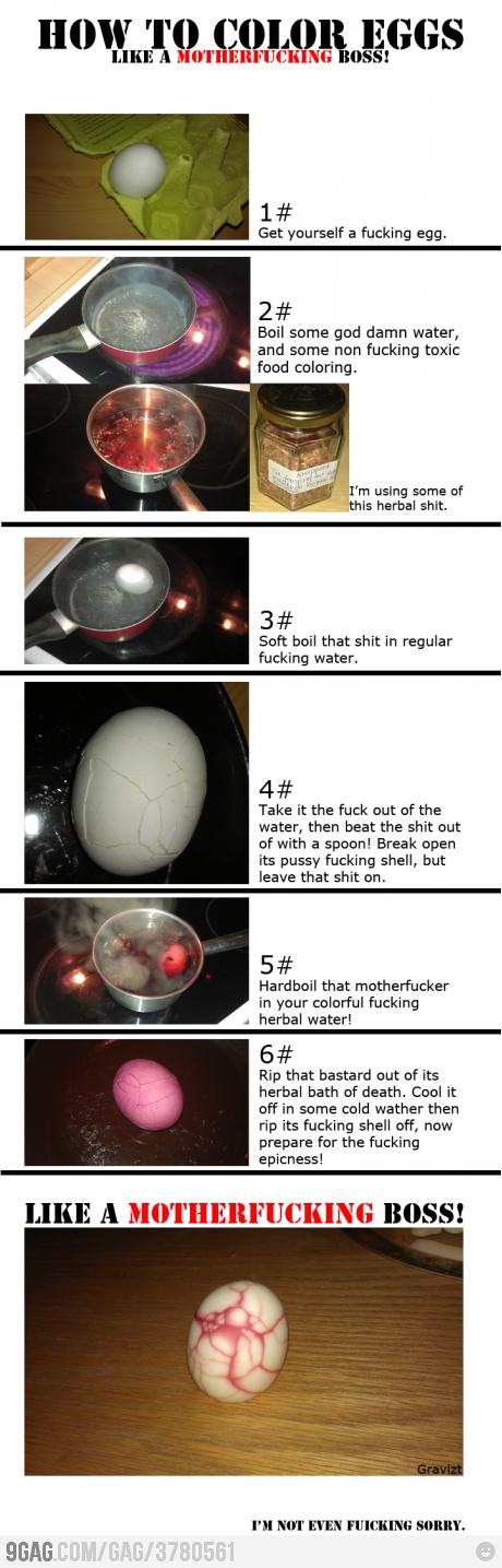 Obrázek fucking eggs
