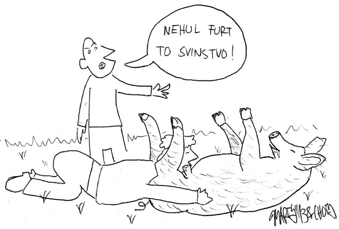 Obrázek fuj hrozna prasarna