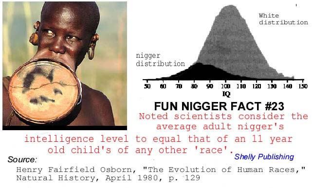 Obrázek fun nigger fact