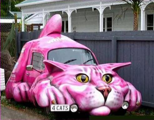 Obrázek funny-cat-car