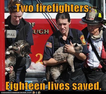 Obrázek funny-cat-pictures-two-firefighters-eighteen-lives-saved