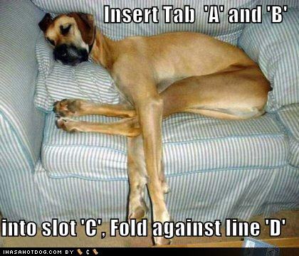 Obrázek funny-dog-pictures-fold-dog-couch-directions