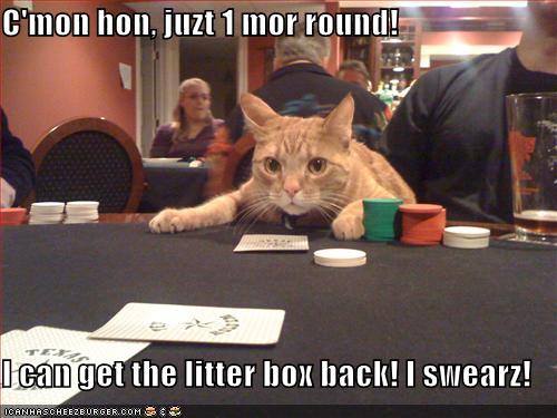 Obrázek funny-pictures-cat-gambler-about-to-win1