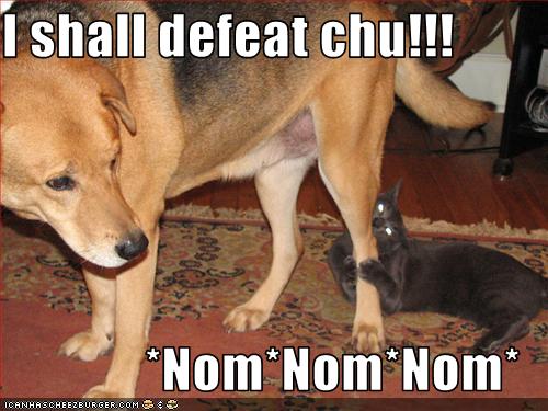 Obrázek funny-pictures-cat-plans-to-defeat-dog 5B1 5D