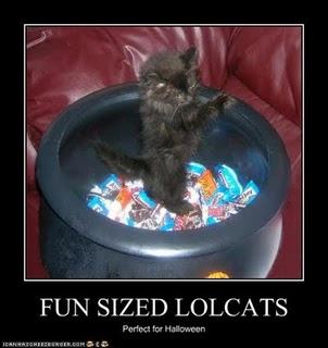 Obrázek funny-pictures-kitten-is-perfect-for-halloween