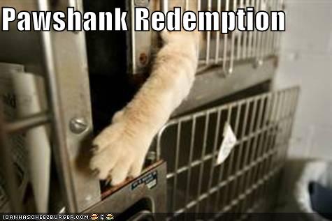 Obrázek funny-pictures-pawshank-redemption