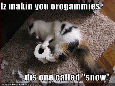 Obrázek funny-pictures-your-cat-is-making-you-origami