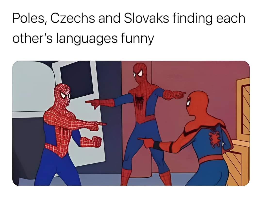 Obrázek funny west slavs