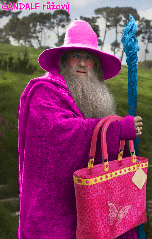 Obrázek gandalf