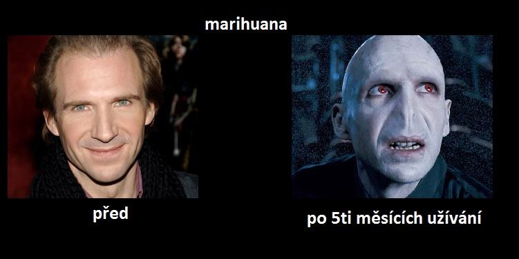 Obrázek ganja marihuana skodi