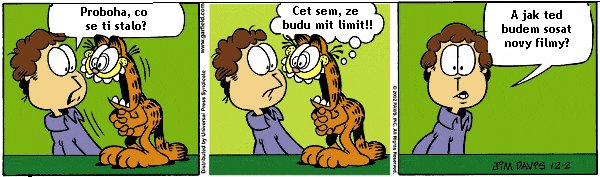 Obrázek gar4