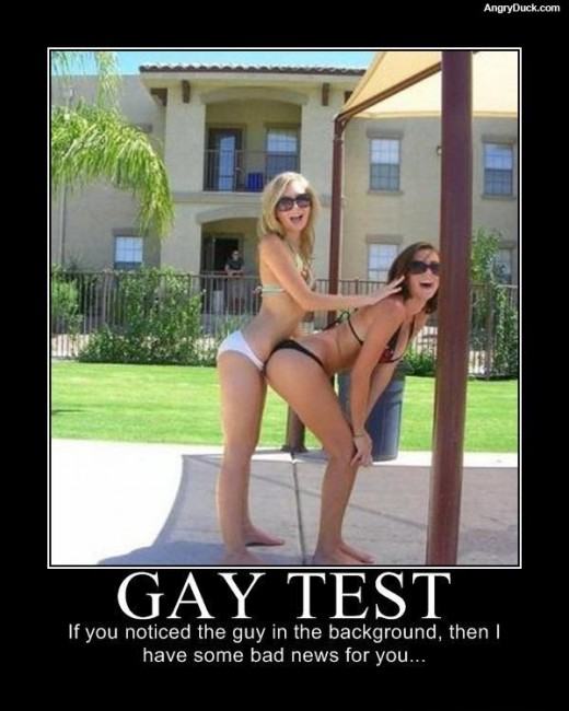 Obrázek gay-test
