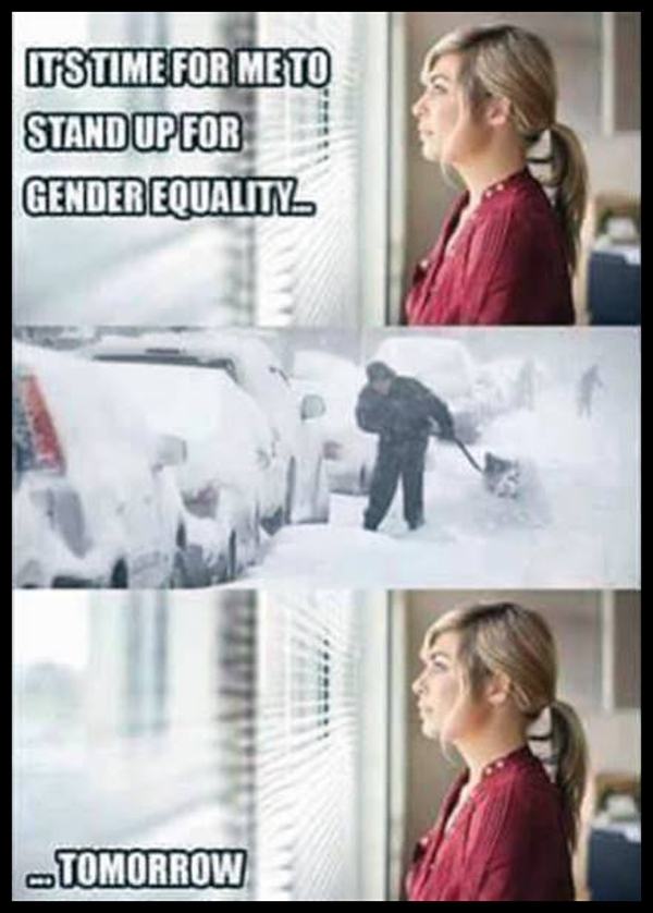 Obrázek gender equality. . . 